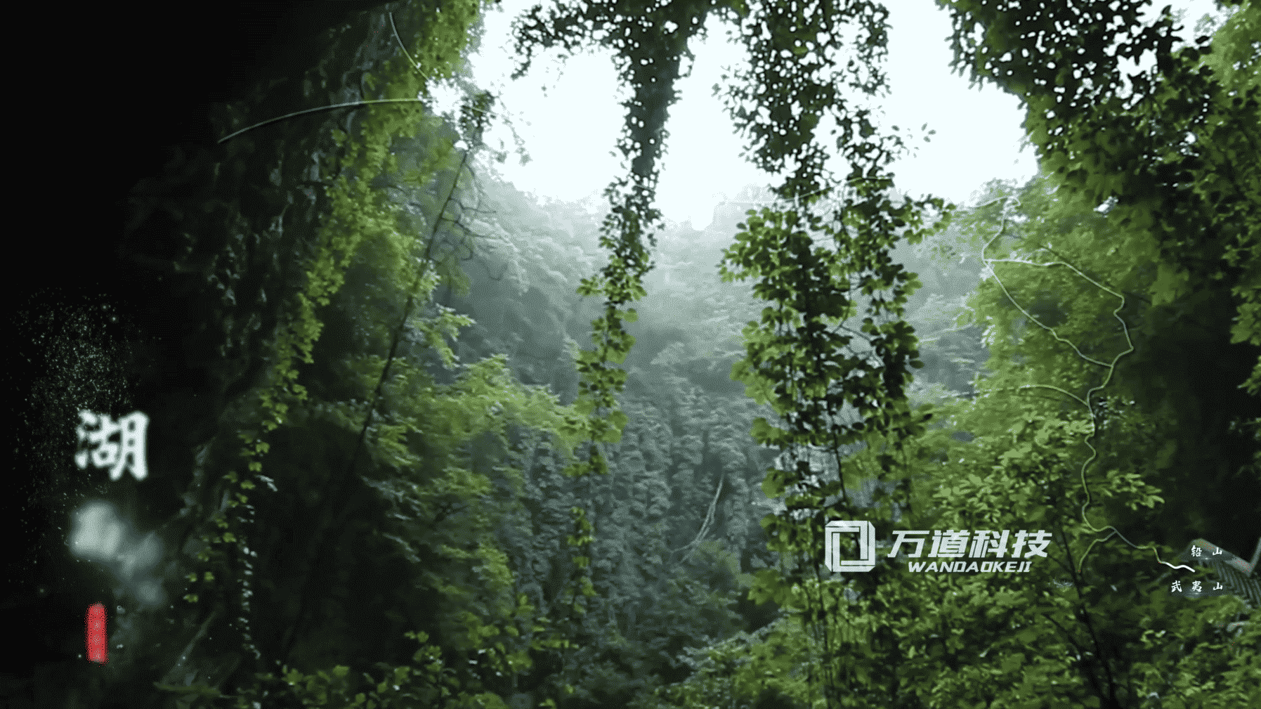 萬(wàn)里茶道申遺2
